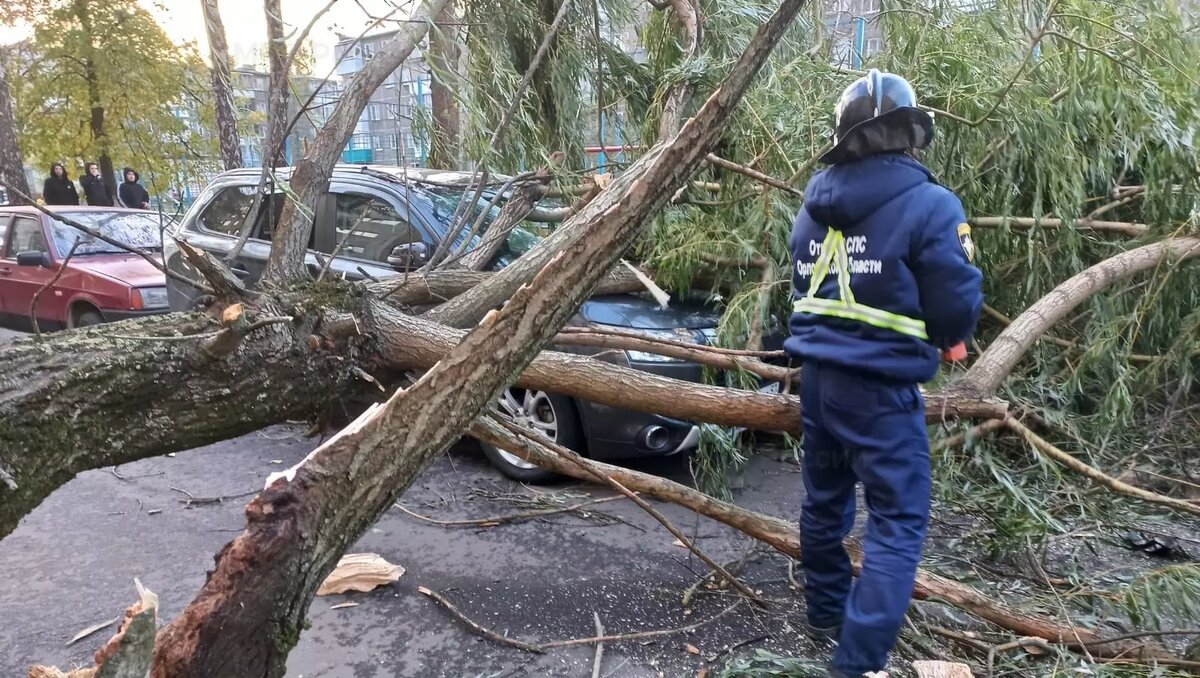     Автор: 57.mchs.gov.ru