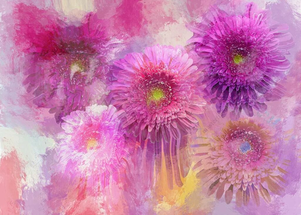 Фото из Интернета