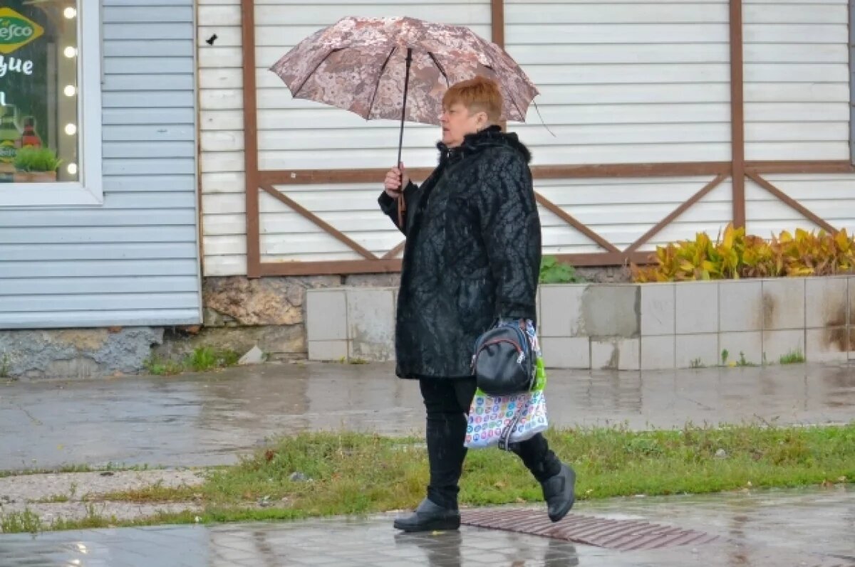    В Туле 21 ноября прогнозируют дождь и сильный ветер