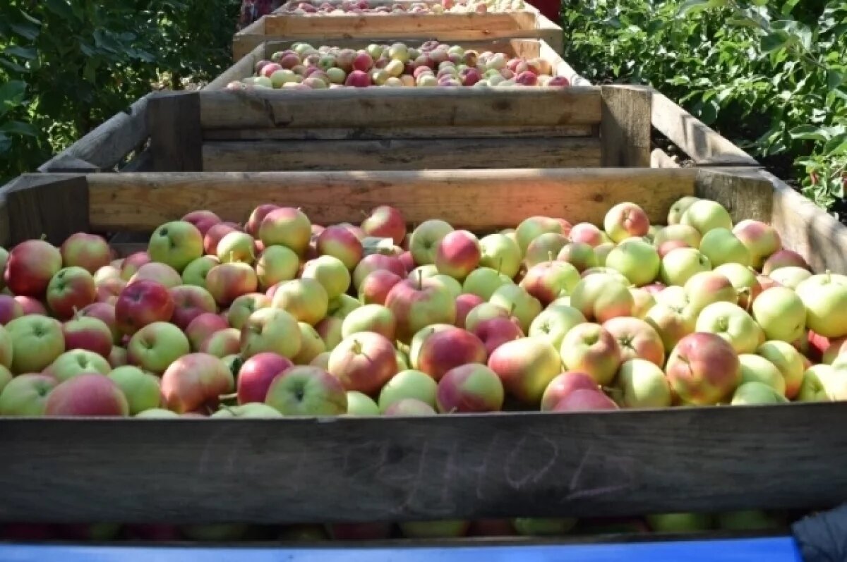    Цыганочка с выходом.