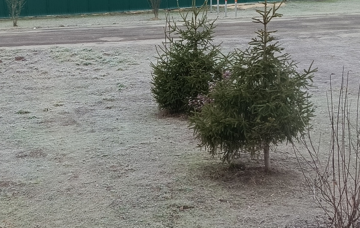 Картина за окном