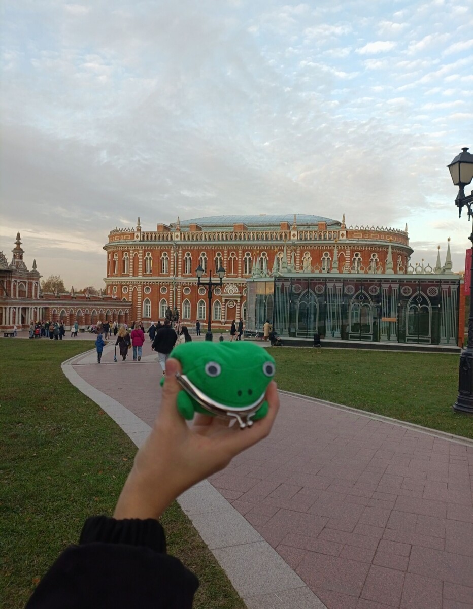 примерное фото к 5 вопросу