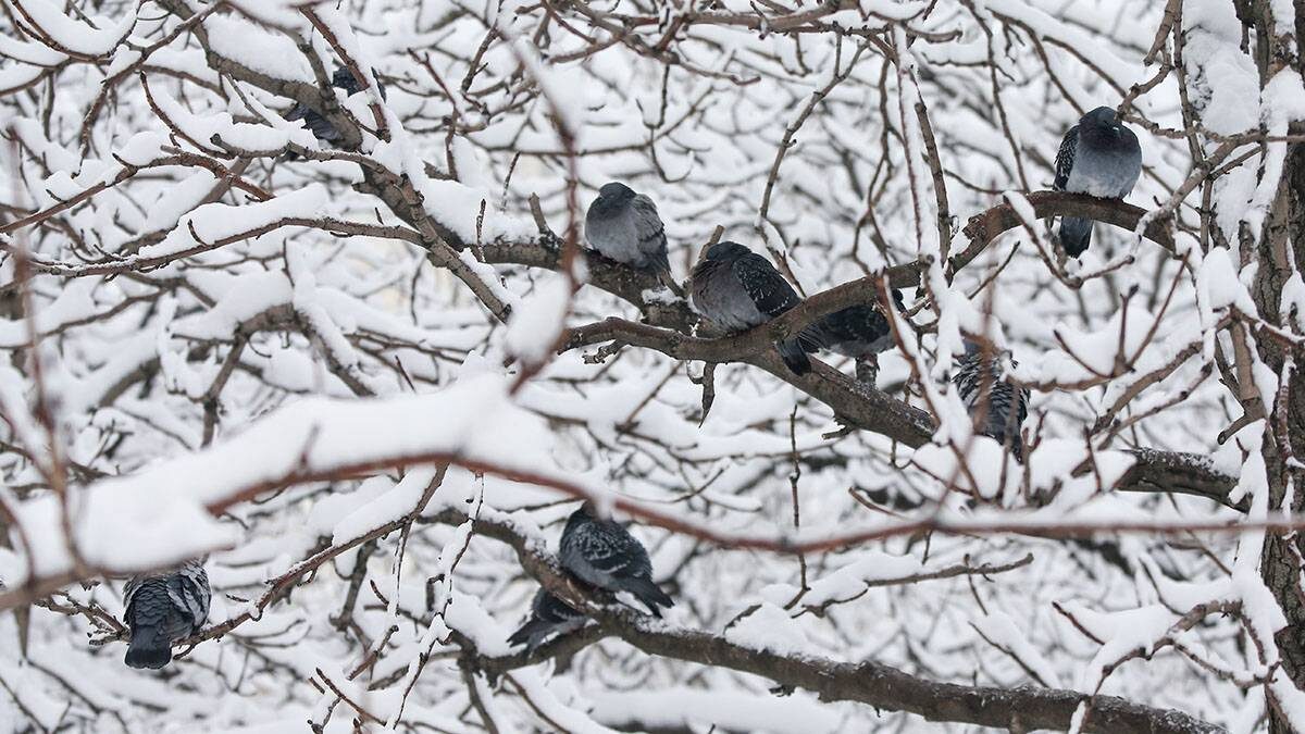    Фото: Сергей Ведяшкин / АГН Москва