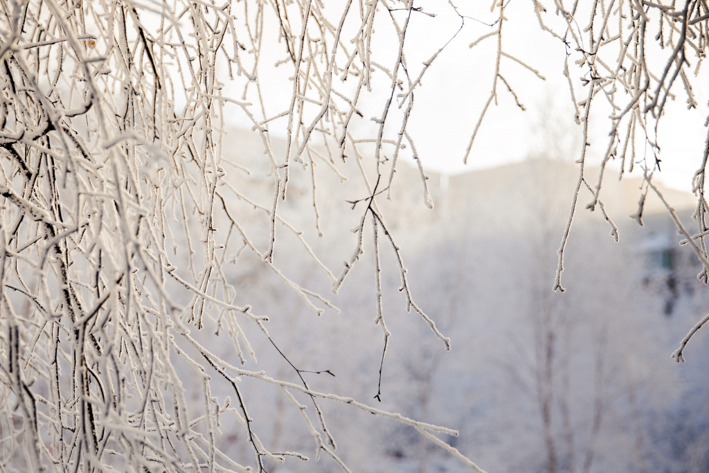   Ближе к выходным ночи в Югре будут морозными