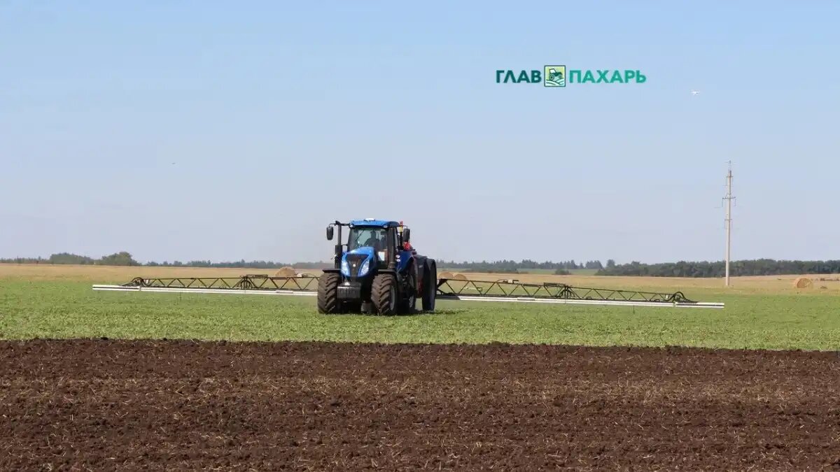 Фото: © Владимир Исаенко / Glavpahar.ru Фотография носит иллюстрационный характер