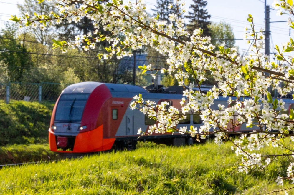    Фото: телеграм-канал Телеграмма РЖД