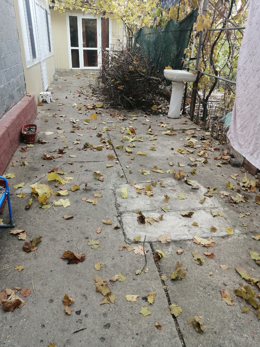 Двор.