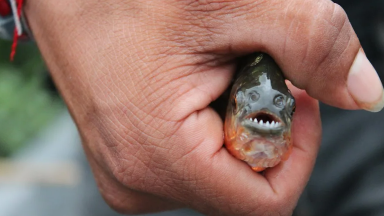 Одна я ничего не сделаю, но вместе мы тебя уничтожим!