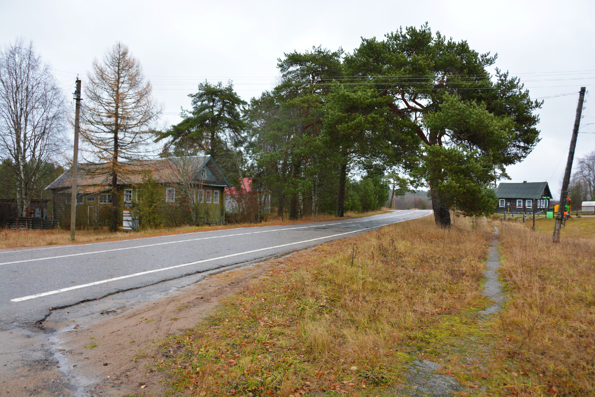 Деревня Кармановское (Немжинский погост). Фото автора, октябрь 2024 г.