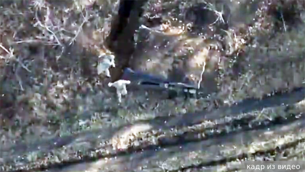     Фото: кадр из видео   
 Текст: Валерия Городецкая