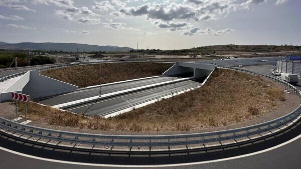    © Telegram Михаил Развожаев