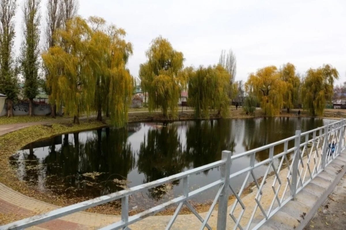    В воронежском сквере «Чайка» завершили работы по благоустройству