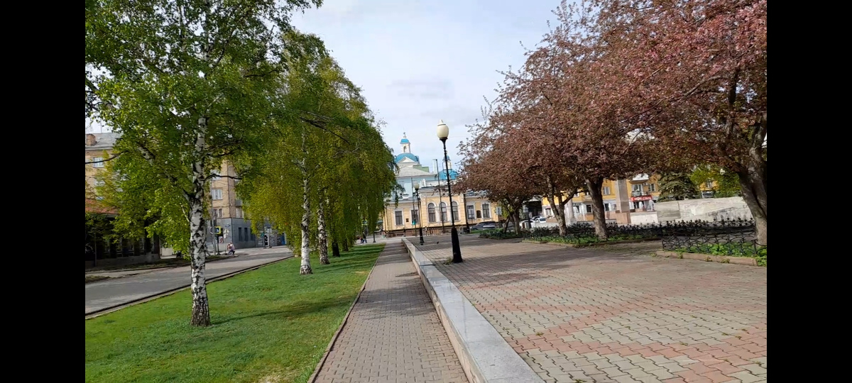 Фото автора. На вчерашней прогулке. Зацветают розовые яблони