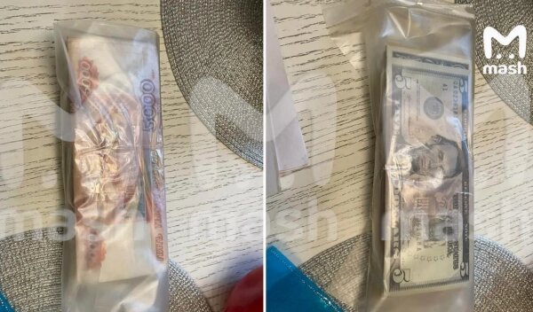 Результаты обыска в доме Владимира Любарского. Фото © Telegram / Mash