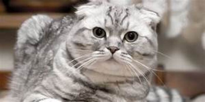 Источник фото: фото из открытых источников - для иллюстрации