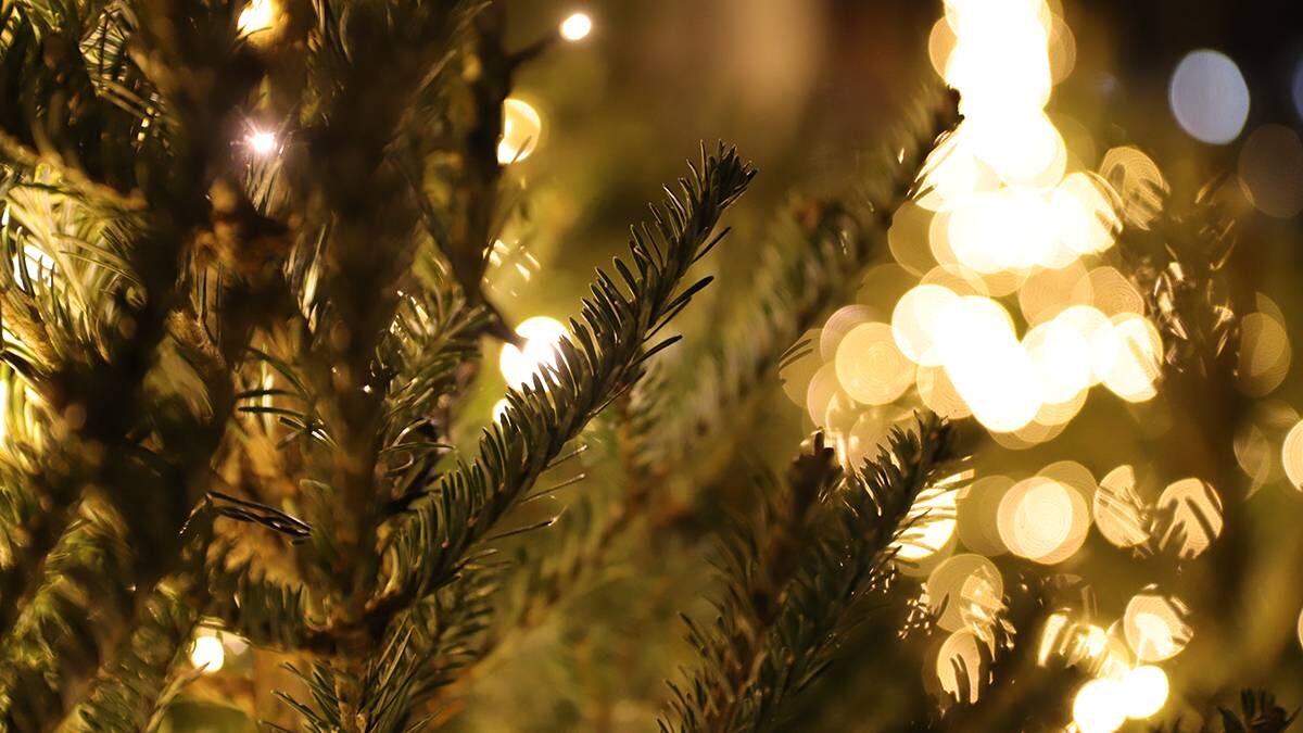    Фото: Анатолий Цымбалюк / Вечерняя Москва