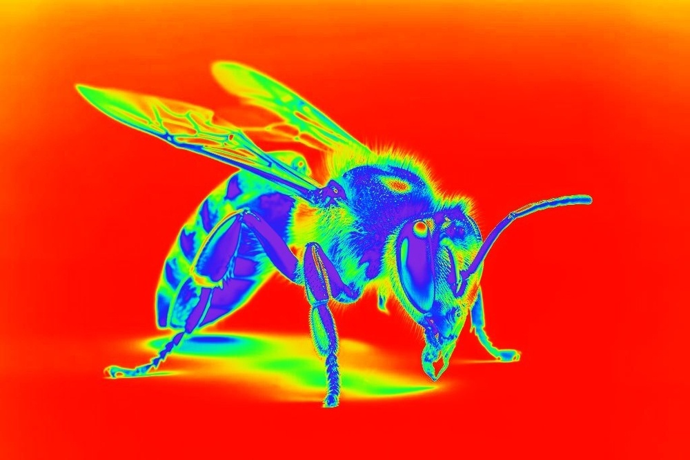 Пчела эффект тепловизора