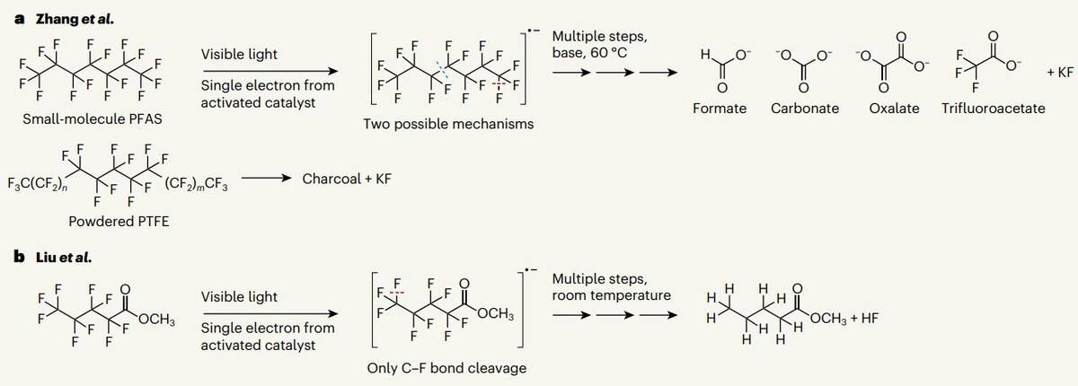   Jinyong Liu / Nature, 2024