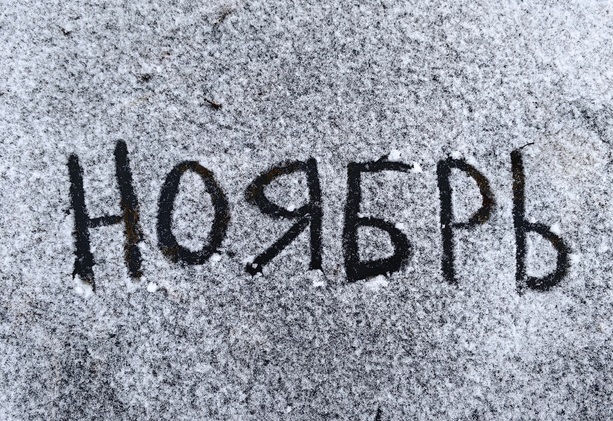 Вот такой он, дачный ноябрь