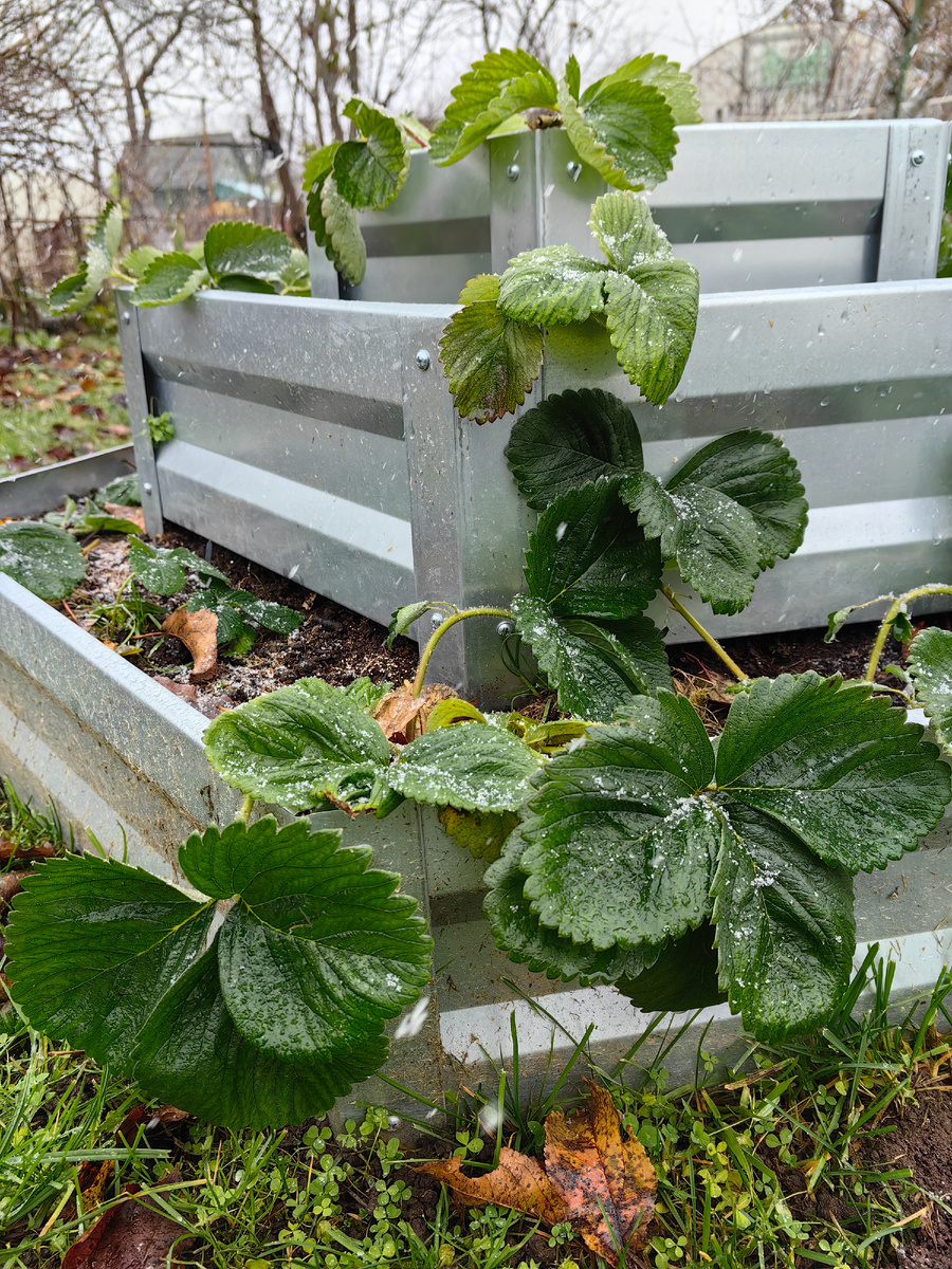 Начало метели