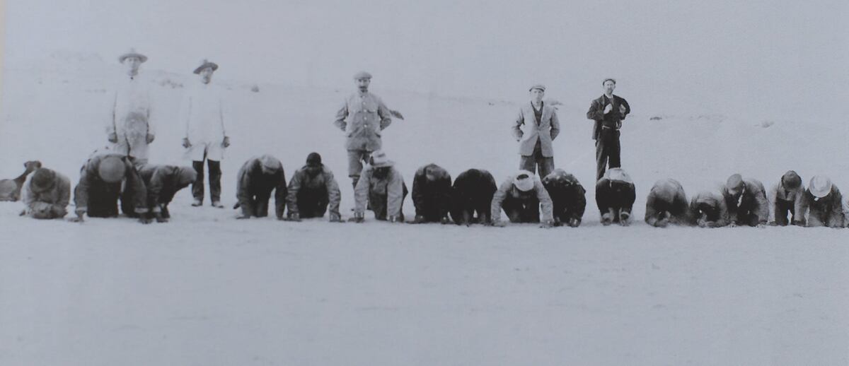 Процесс собирания с поверхности