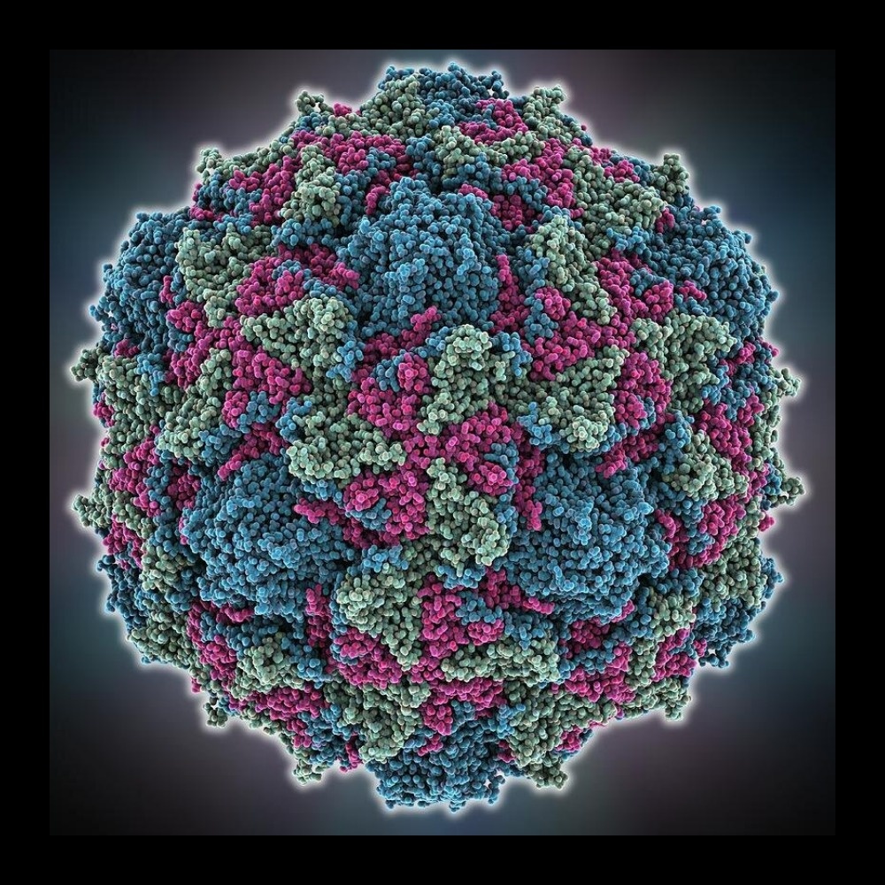 Полиовирус 1 типа еще не уничтожен  