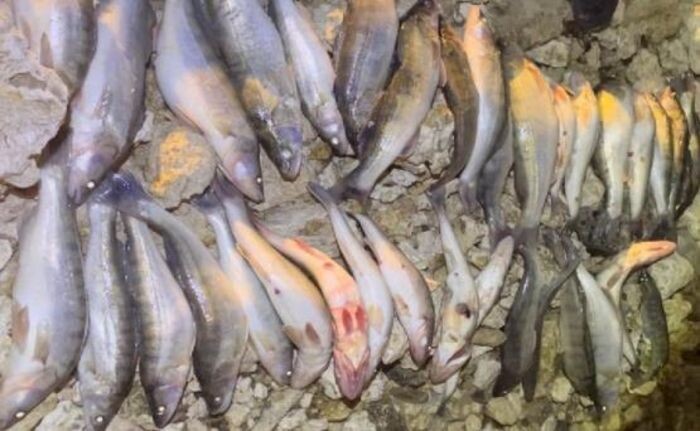 Источник фото: Погрануправление ФСБ по РО