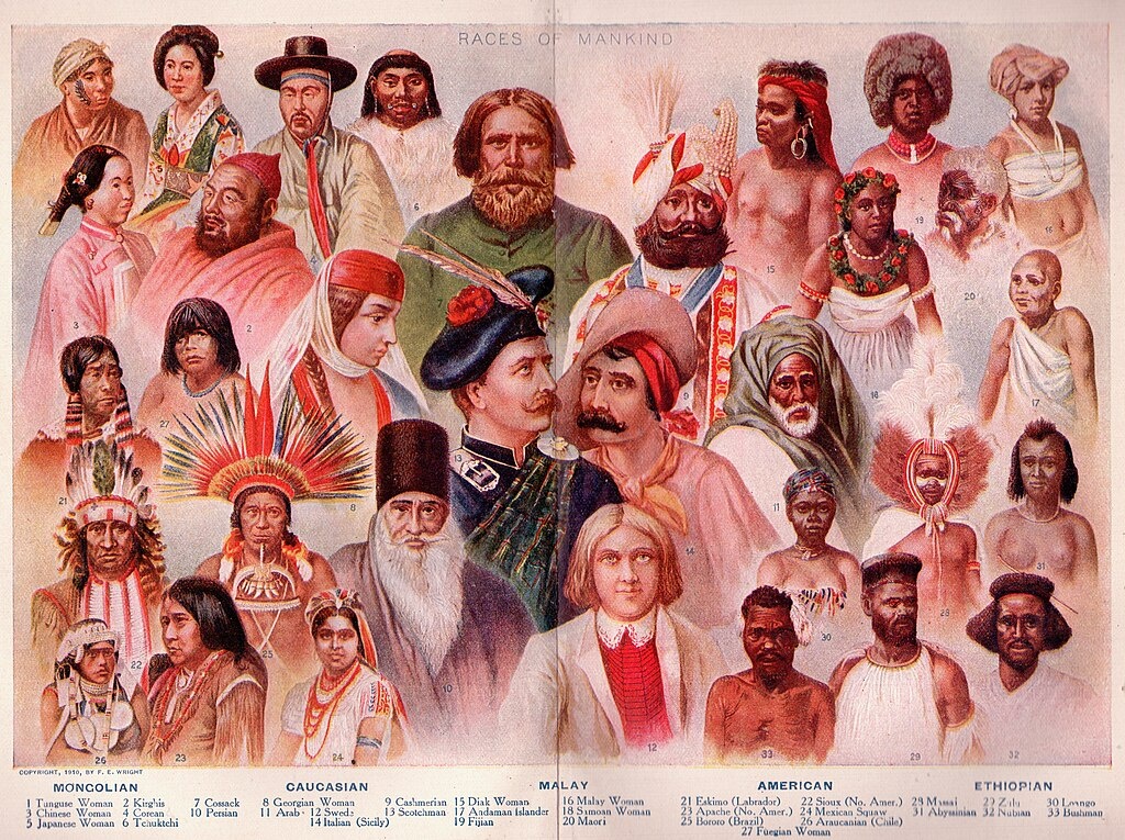Расы человечества. Новый иллюстрированный словарь Уэбстера, 1911. 
