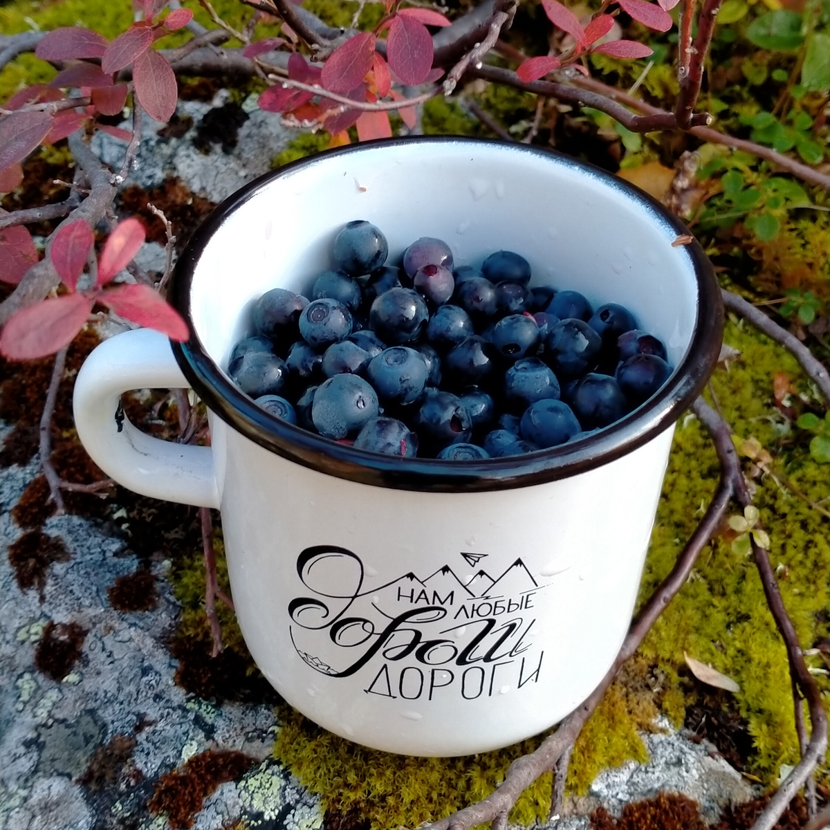 Кольский полуостров. Фото автора.