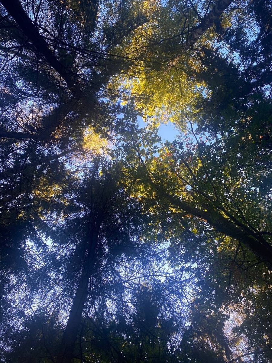 Фото из личного архива 