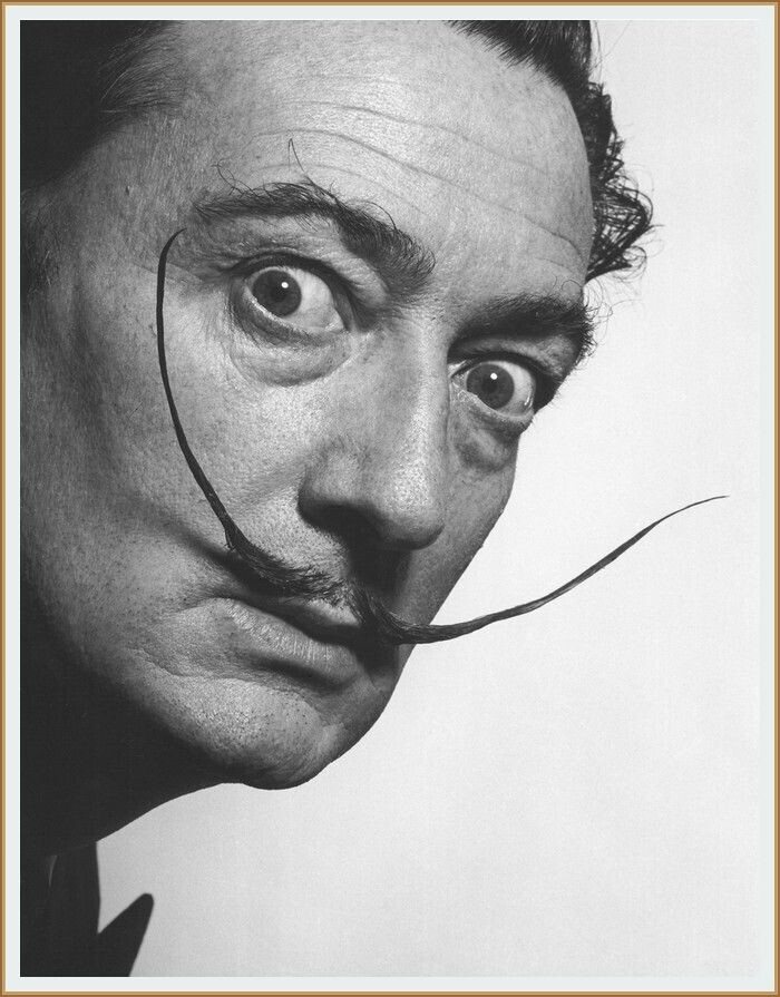 ФОТОГРАФИЯ от РИЧАРДА АВЕДОНА  / Richard Avedon /  САЛЬВАДОР ДАЛИ 