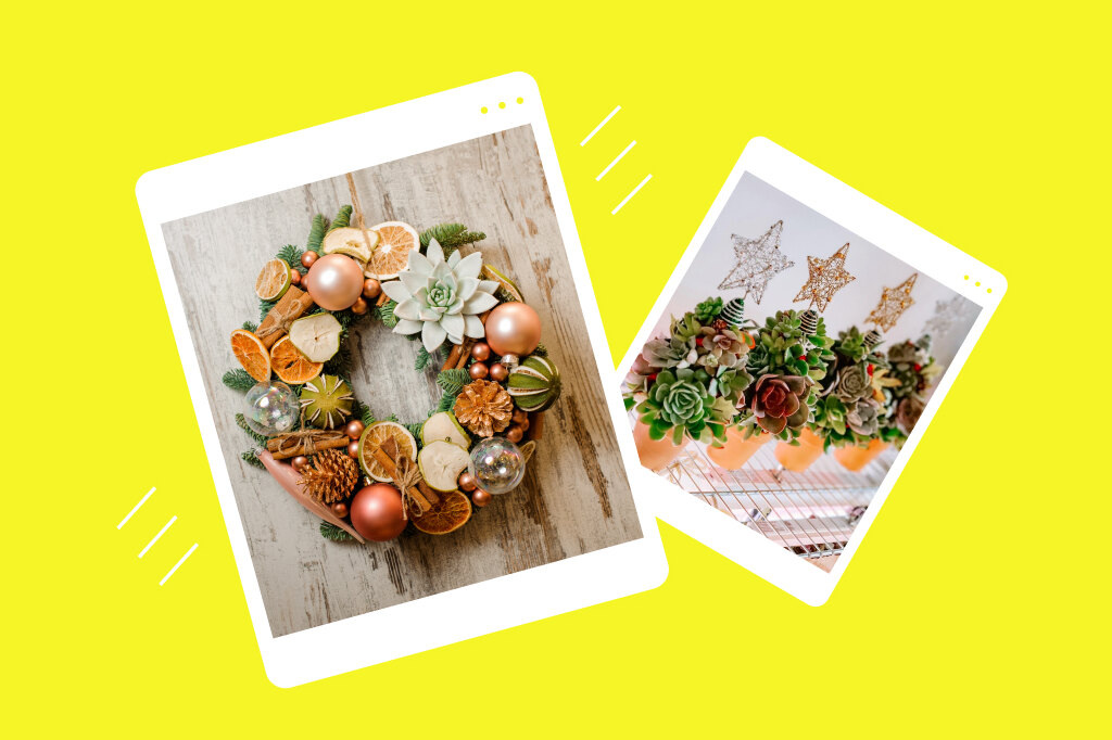     Для сервировки стола и не только: 5 потрясающих идей новогоднего декора с суккулентами