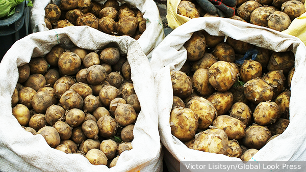     Фото: Victor Lisitsyn/Global Look Press   
 Текст: Валерия Городецкая