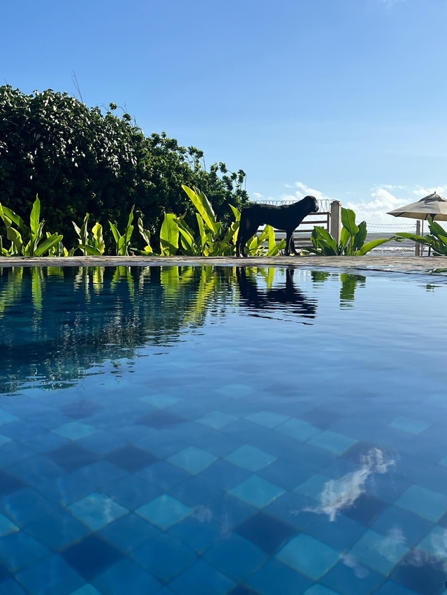 фото из личного архива