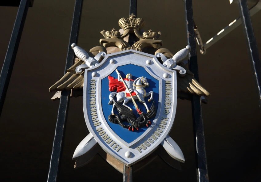    Замир Усманов/Global Look Press