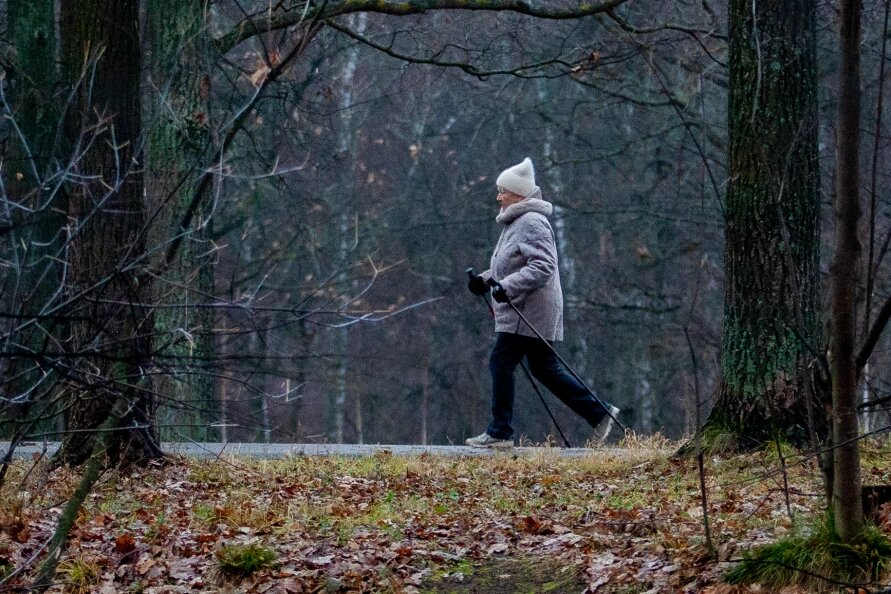    Oksana the King/Business Online