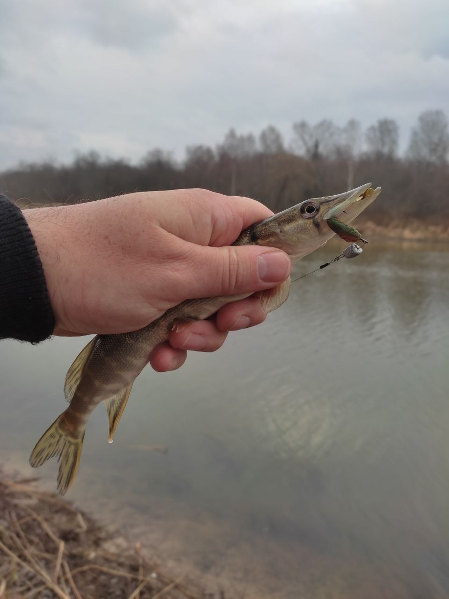 ловля ультралайт 