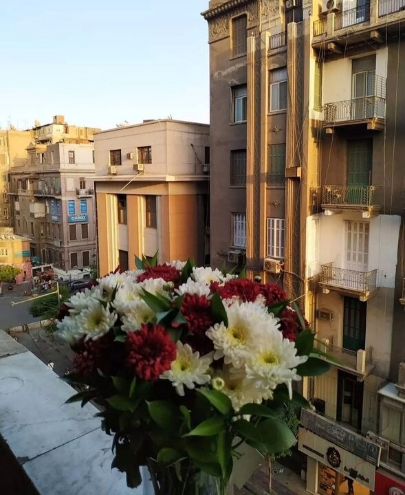 Вид с моего балкона 