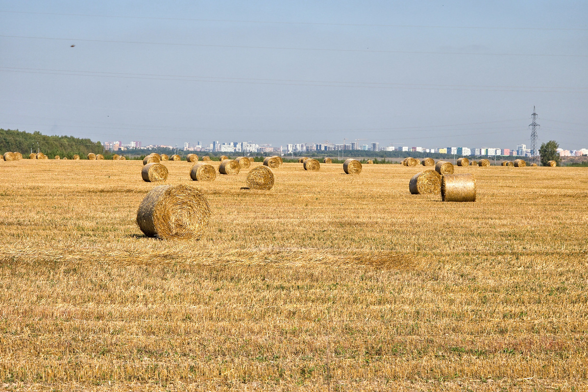Снято на профессиональный смартфон для путешественников