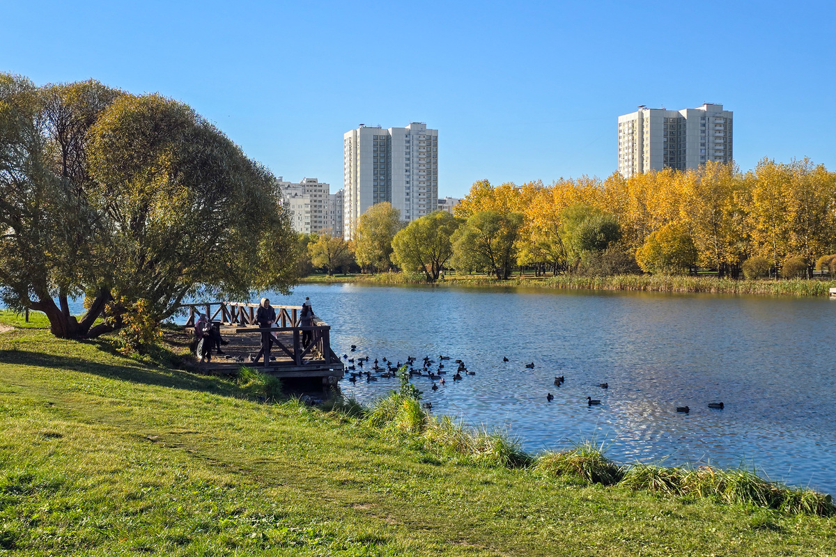 Снято на профессиональный смартфон для путешественников