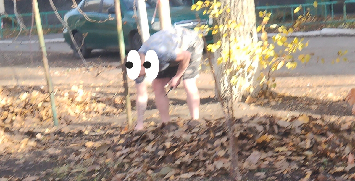 Увидела мужчину в шортах и футболке