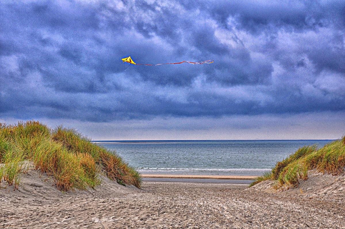 Фото взято из интернета.
