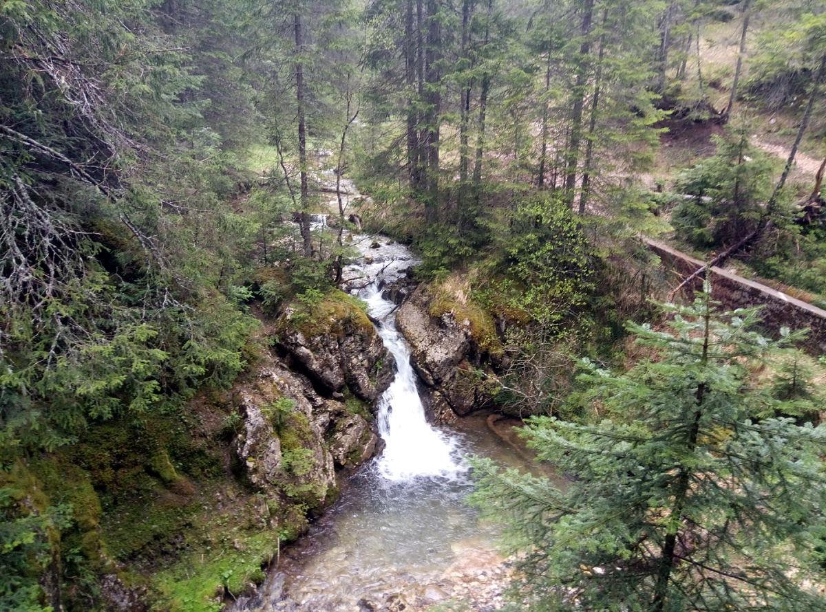 На прогулке