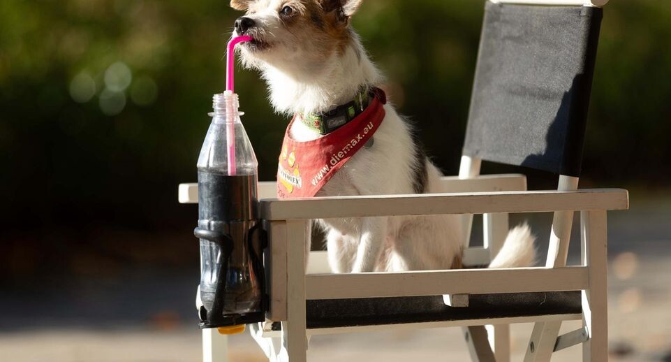    Dieter Menne / dpa / Global Look Press