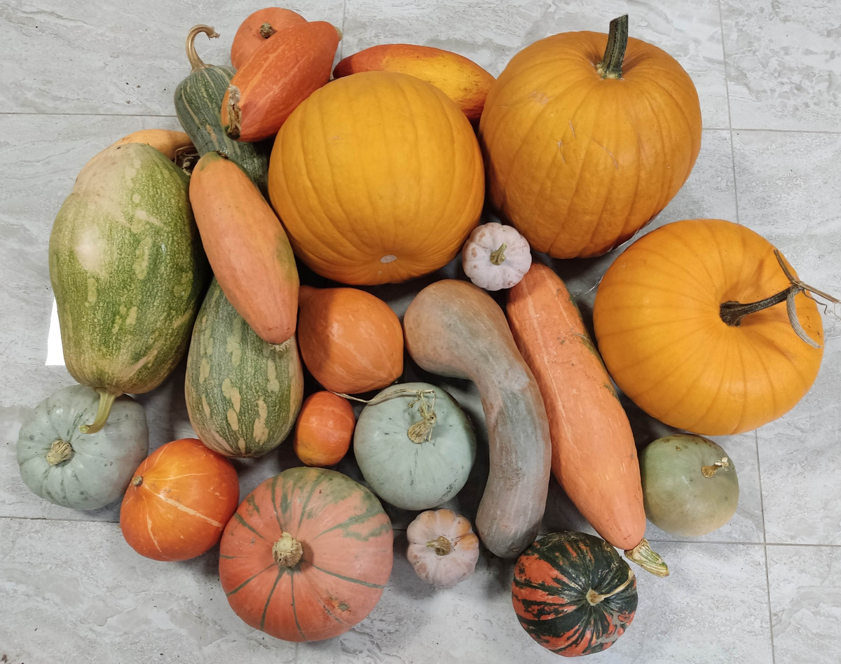 Малая часть сортов.