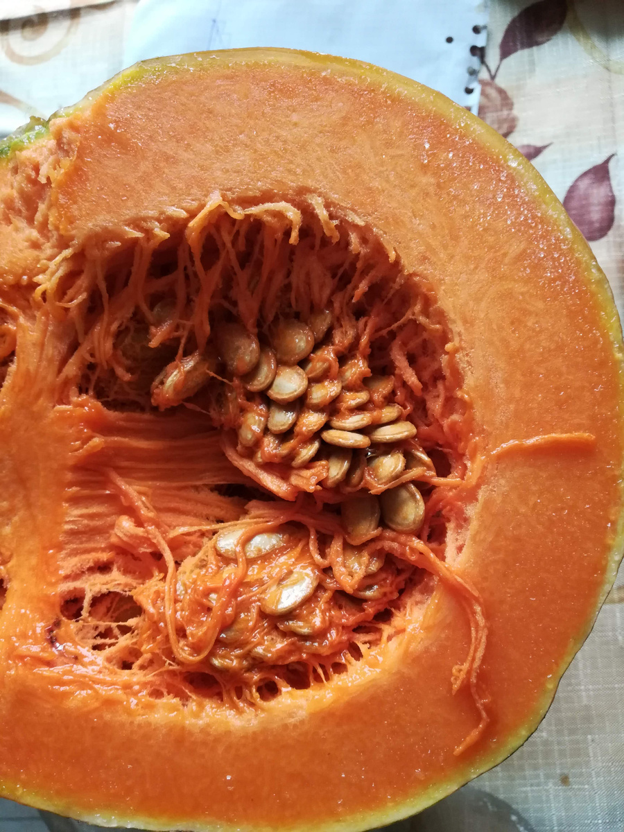 Тыква очень разная в разрезе – может быть сладкая, мускатная и даже тербкая.