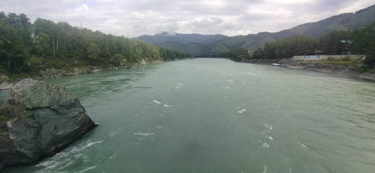 Катунь с моста у Зубов Дракона