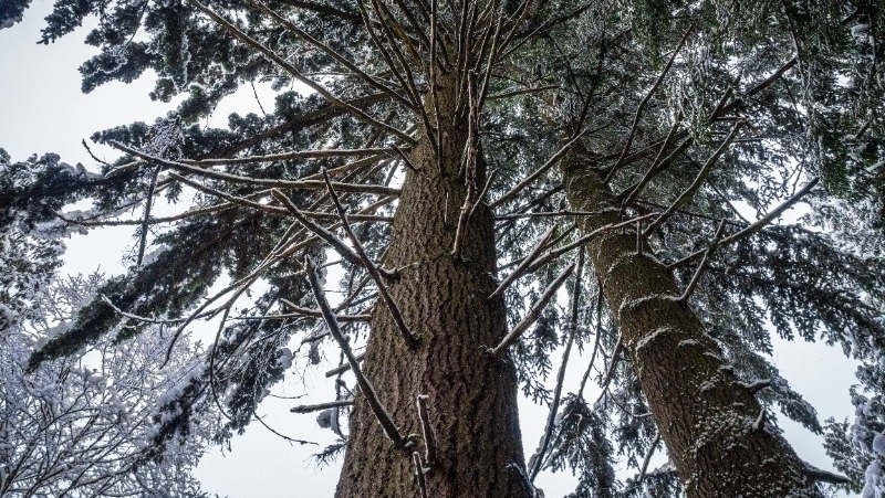 Фото: pxhere.com