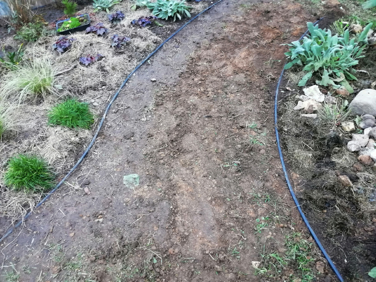 Дорожка между двумя цветниками, здесь будет мощение, а пока трава