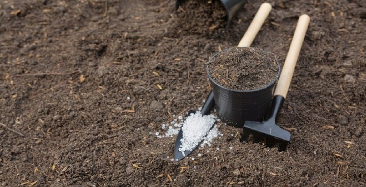 Фото взято из открытых источников